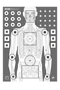 Tarcza strzelecka ZYGMUNT